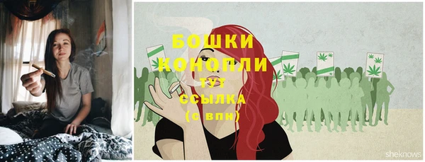 МДПВ Бугульма