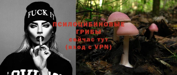 стаф Бронницы