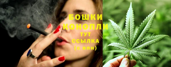 стаф Бронницы