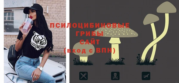 МДПВ Бугульма