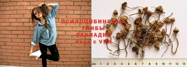 МДПВ Бугульма